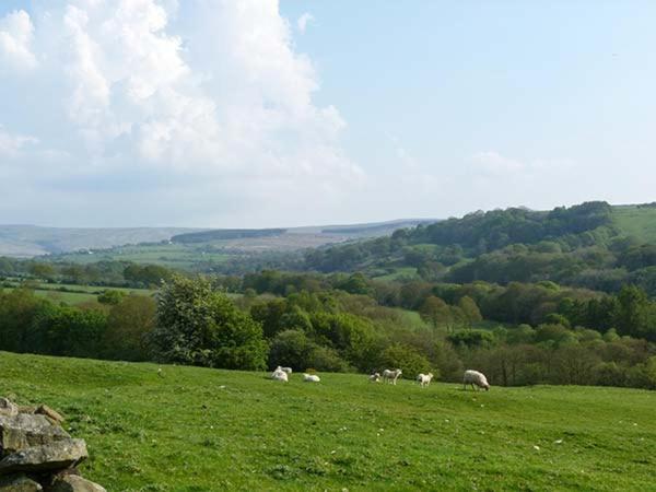 Wenning Bank Holiday home *