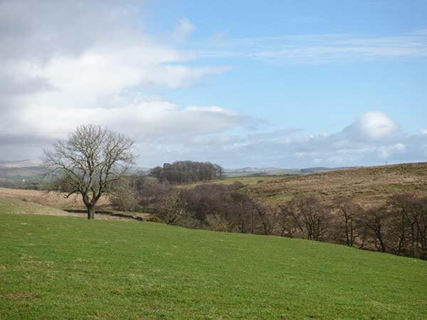 Wenning Bank * Clapham (North Yorkshire)
